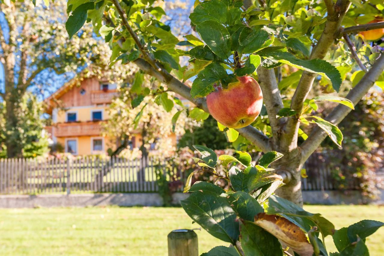 Girlinggut Schlafen Starten Salzburg Elixhausen Eksteriør bilde